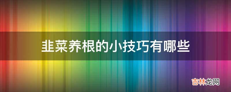 韭菜养根的小技巧有哪些?