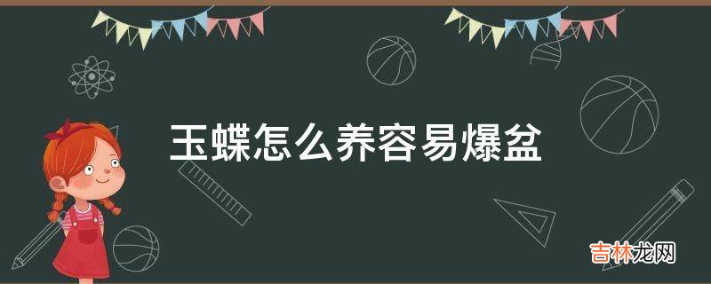 玉蝶怎么养容易爆盆?