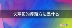 长寿花的养殖方法是什么?