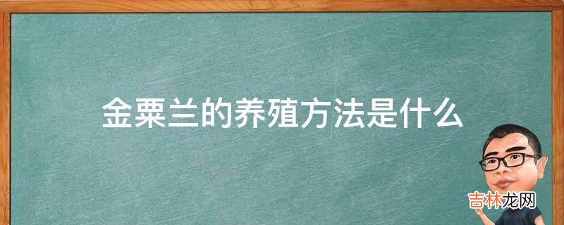 金粟兰的养殖方法是什么?