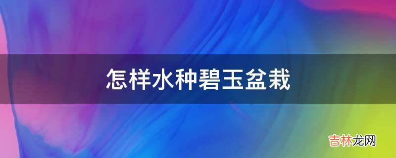 怎样水种碧玉盆栽?