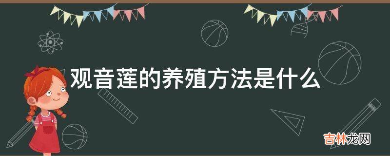 观音莲的养殖方法是什么?