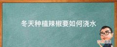 冬天种植辣椒要如何浇水?