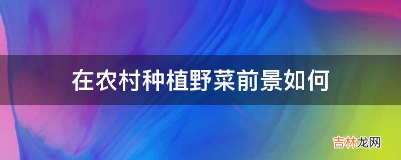 在农村种植野菜前景如何?