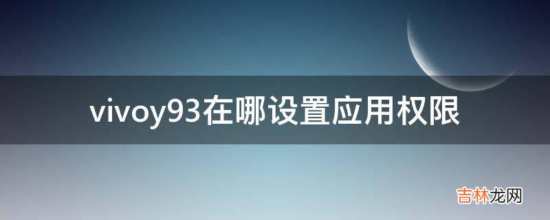 vivoy93在哪设置应用权限?