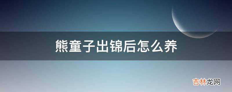 熊童子出锦后怎么养?