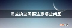 吊兰换盆需要注意哪些问题?