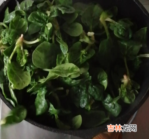 菠菜青炒怎么炒