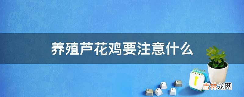 养殖芦花鸡要注意什么?