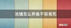 池塘怎么养鱼不容易死?