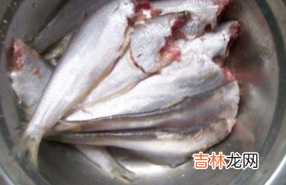 黄鲫子鱼怎么炒