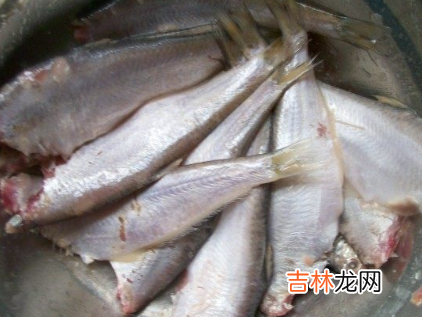 黄鲫子鱼怎么炒