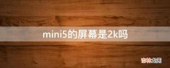 mini5的屏幕是2k吗?