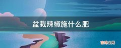 盆栽辣椒施什么肥?