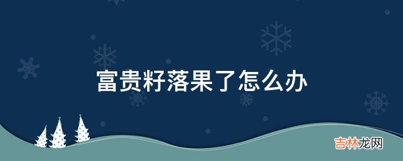 富贵籽落果了怎么办?