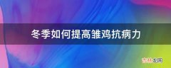 冬季如何提高雏鸡抗病力?