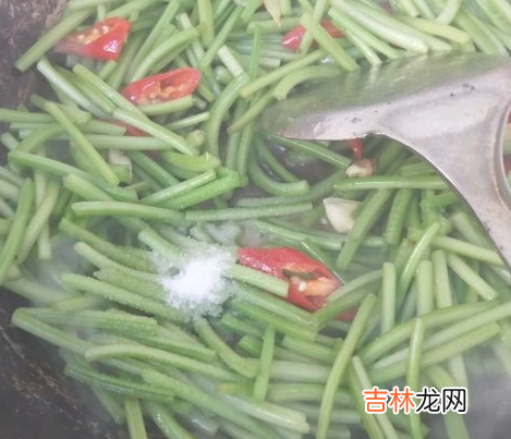 红薯竿子怎么炒