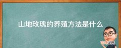 山地玫瑰的养殖方法是什么?