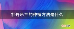 牡丹吊兰的种植方法是什么?