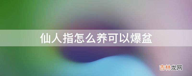 仙人指怎么养可以爆盆?