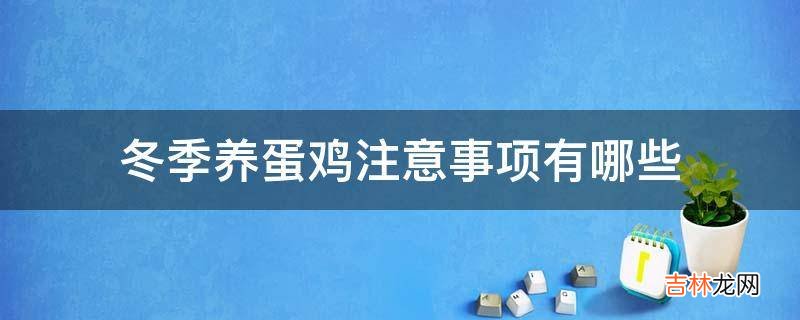 冬季养蛋鸡注意事项有哪些?