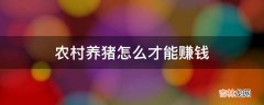 农村养猪怎么才能赚钱?