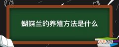 蝴蝶兰的养殖方法是什么?