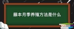 藤本月季养殖方法是什么?