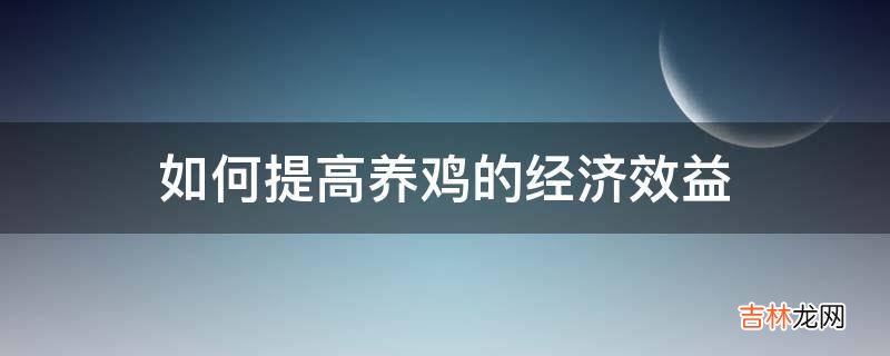 如何提高养鸡的经济效益?