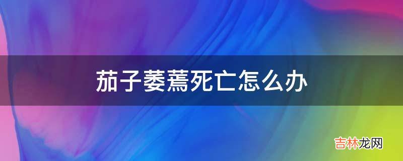 茄子萎蔫死亡怎么办?