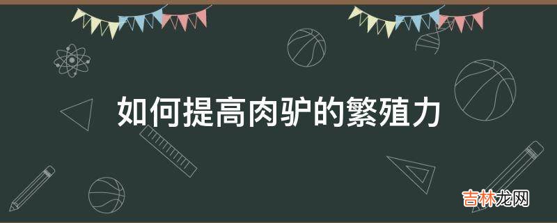 如何提高肉驴的繁殖力?