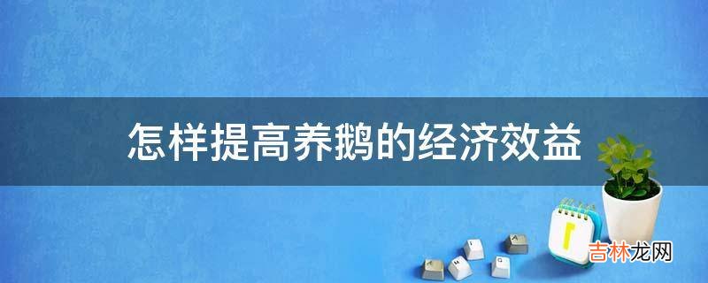 怎样提高养鹅的经济效益?