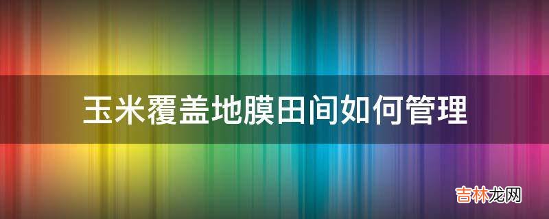 玉米覆盖地膜田间如何管理?