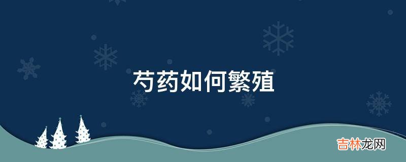 芍药如何繁殖?