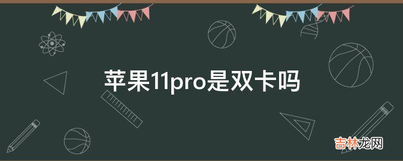 苹果11pro是双卡吗?