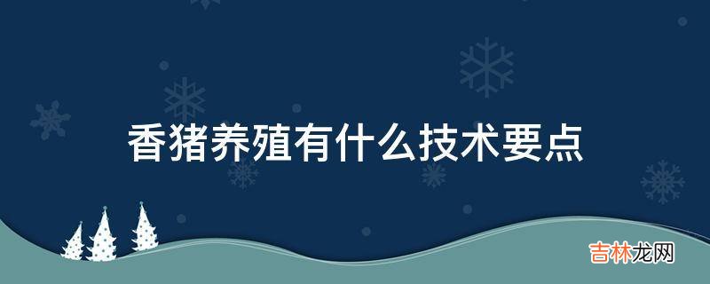 香猪养殖有什么技术要点?