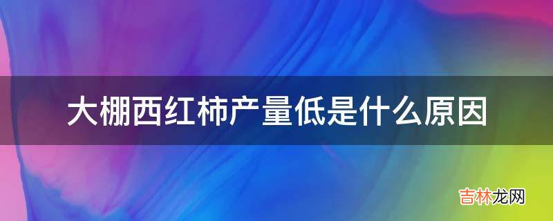 大棚西红柿产量低是什么原因?