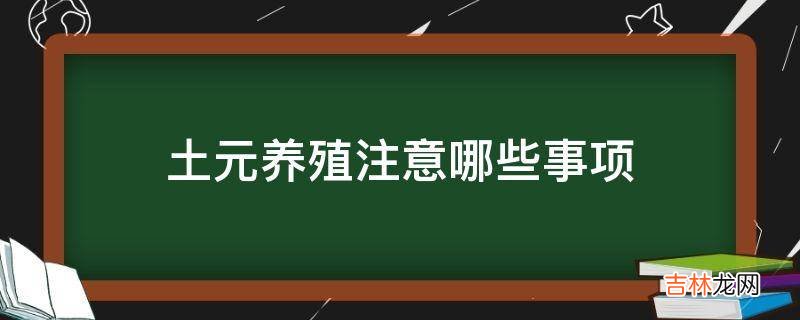 土元养殖注意哪些事项?