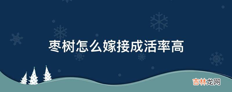 枣树怎么嫁接成活率高?