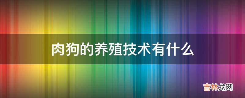 肉狗的养殖技术有什么?