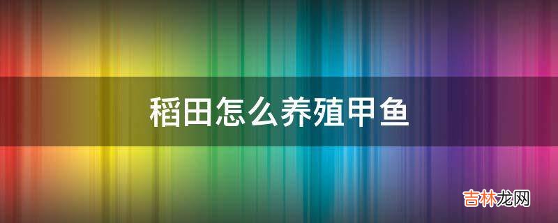 稻田怎么养殖甲鱼?