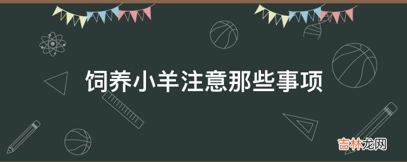 饲养小羊注意那些事项?