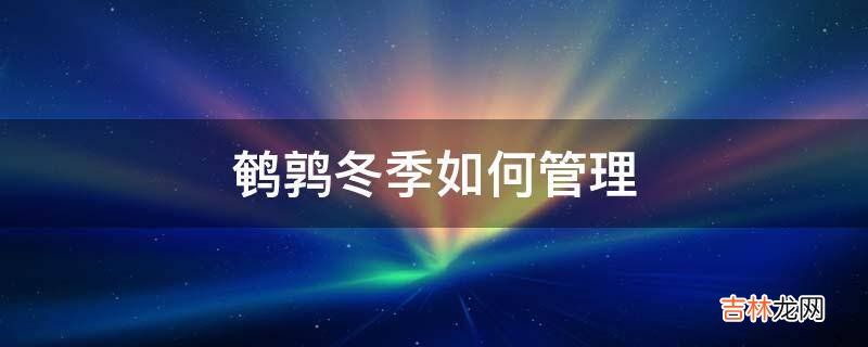 鹌鹑冬季如何管理?