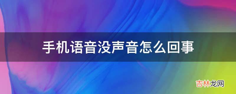 手机语音没声音怎么回事?