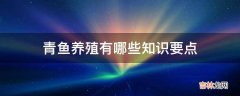 青鱼养殖有哪些知识要点?