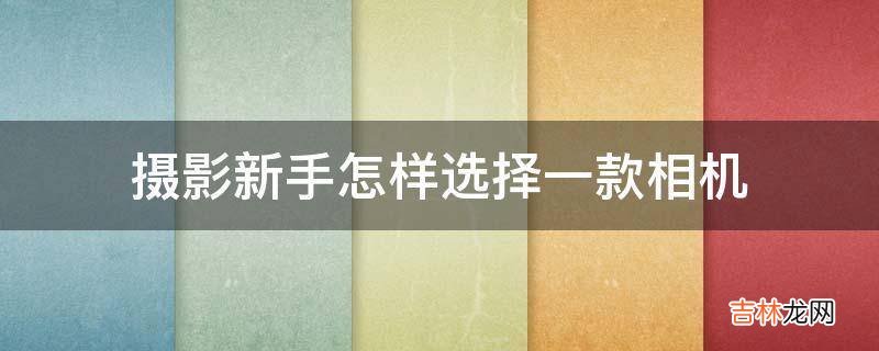 摄影新手怎样选择一款相机?
