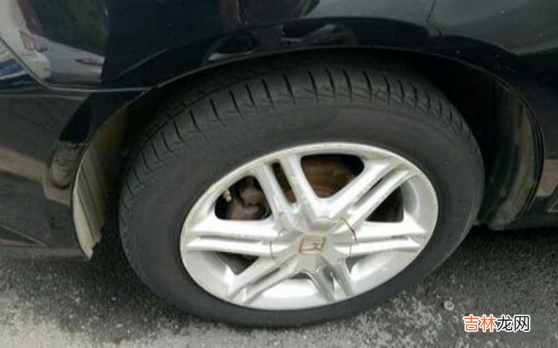 思迪用什么轮胎?