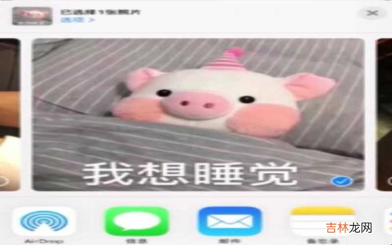 苹果隔空投送怎么设置所有人 苹果隔空投送怎么打开?