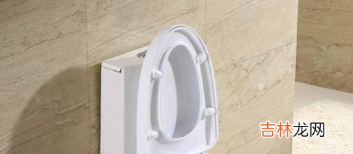 怎么样选购马桶?