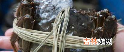 阳澄湖大闸蟹哪个牌子好网购阳澄湖大闸蟹注意?